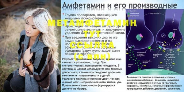 соль ск Ельня