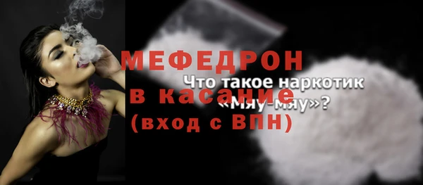 соль ск Ельня