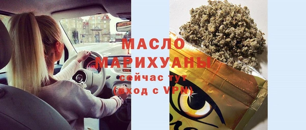 соль ск Ельня
