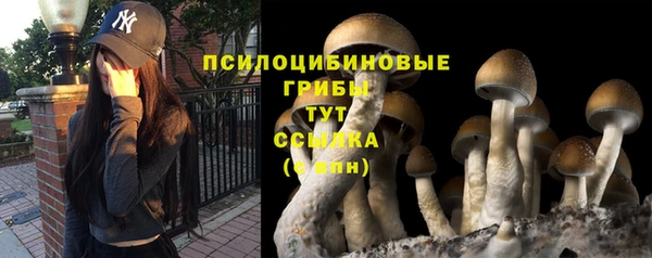 соль ск Ельня
