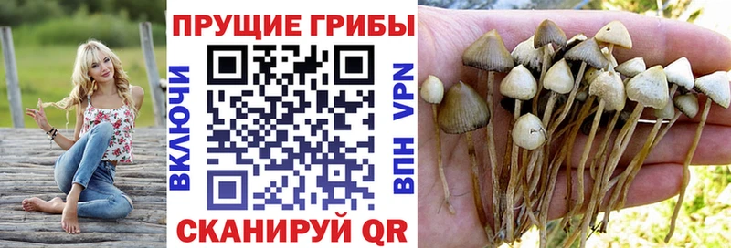 Галлюциногенные грибы MAGIC MUSHROOMS  ОМГ ОМГ маркетплейс  Зеленокумск  где найти  